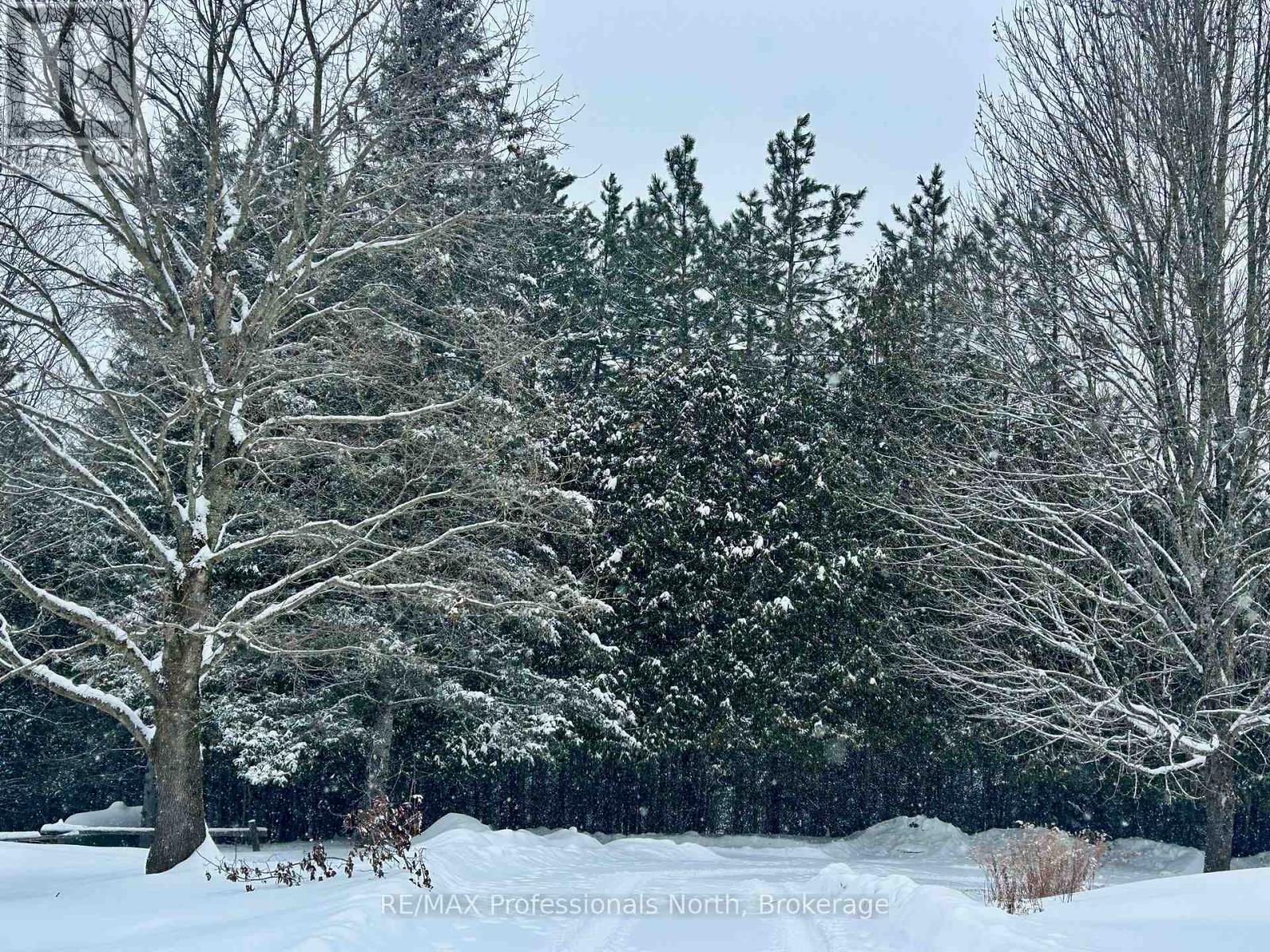 22 Robert Drive, Faraday, Ontario  K0L 1C0 - Photo 4 - X12661022