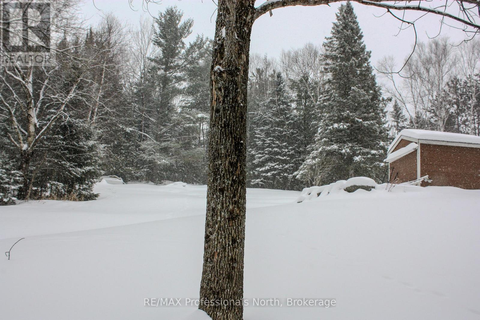 22 Robert Drive, Faraday, Ontario  K0L 1C0 - Photo 14 - X12661022