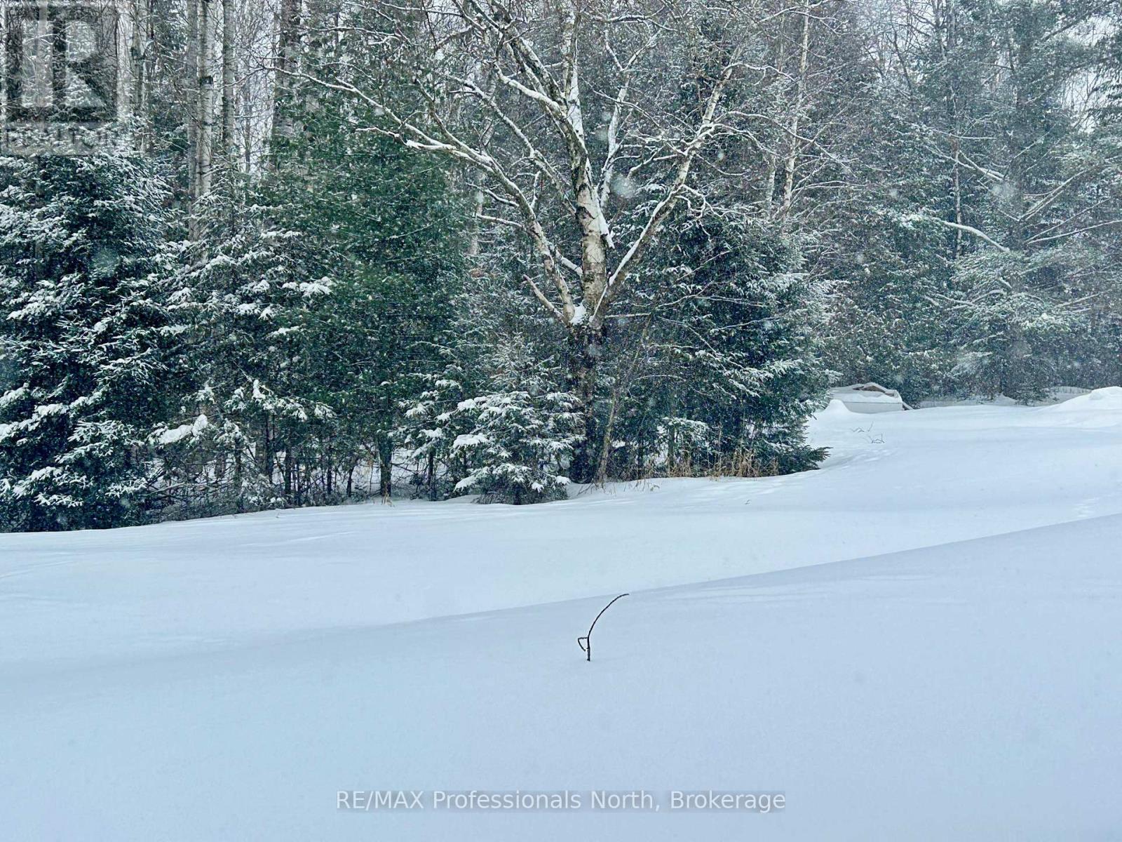 22 Robert Drive, Faraday, Ontario  K0L 1C0 - Photo 7 - X12661022