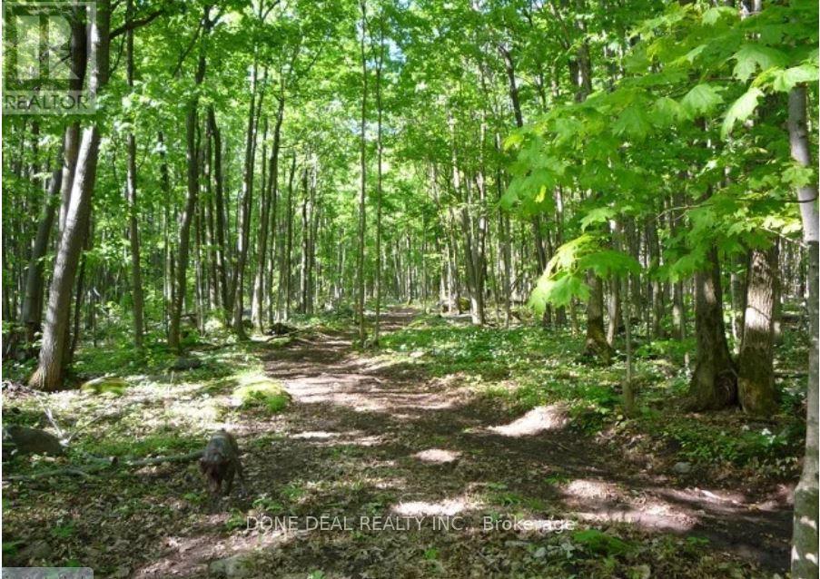 111 Nippissing Ridge Road, Tiny, Ontario  L9M 0H6 - Photo 2 - S12662512