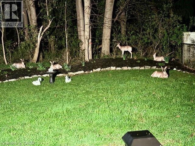 16 Freeland Court, Hamilton, Ontario  L8S 3R5 - Photo 46 - 40787879