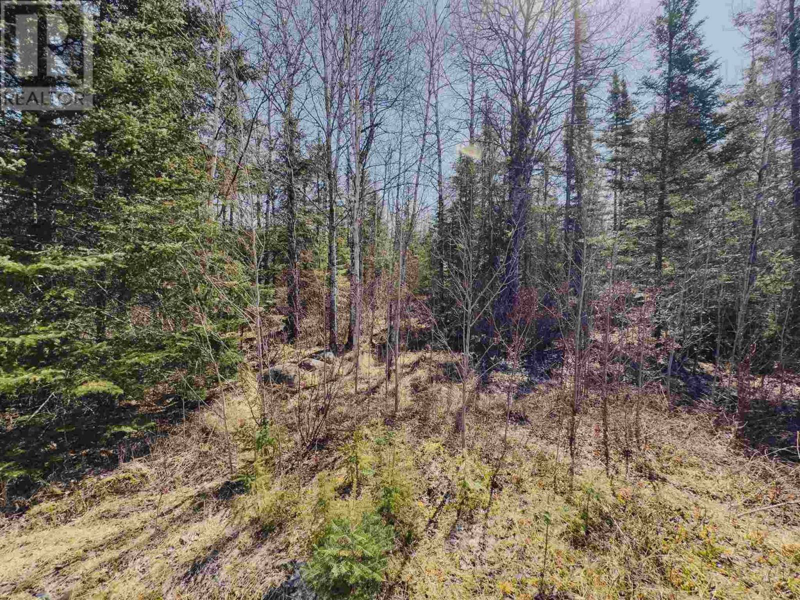 Part 5 Plan 23r15112 Hilly Lake Rd, Kenora, Ontario  P9N 3W8 - Photo 10 - TB250929
