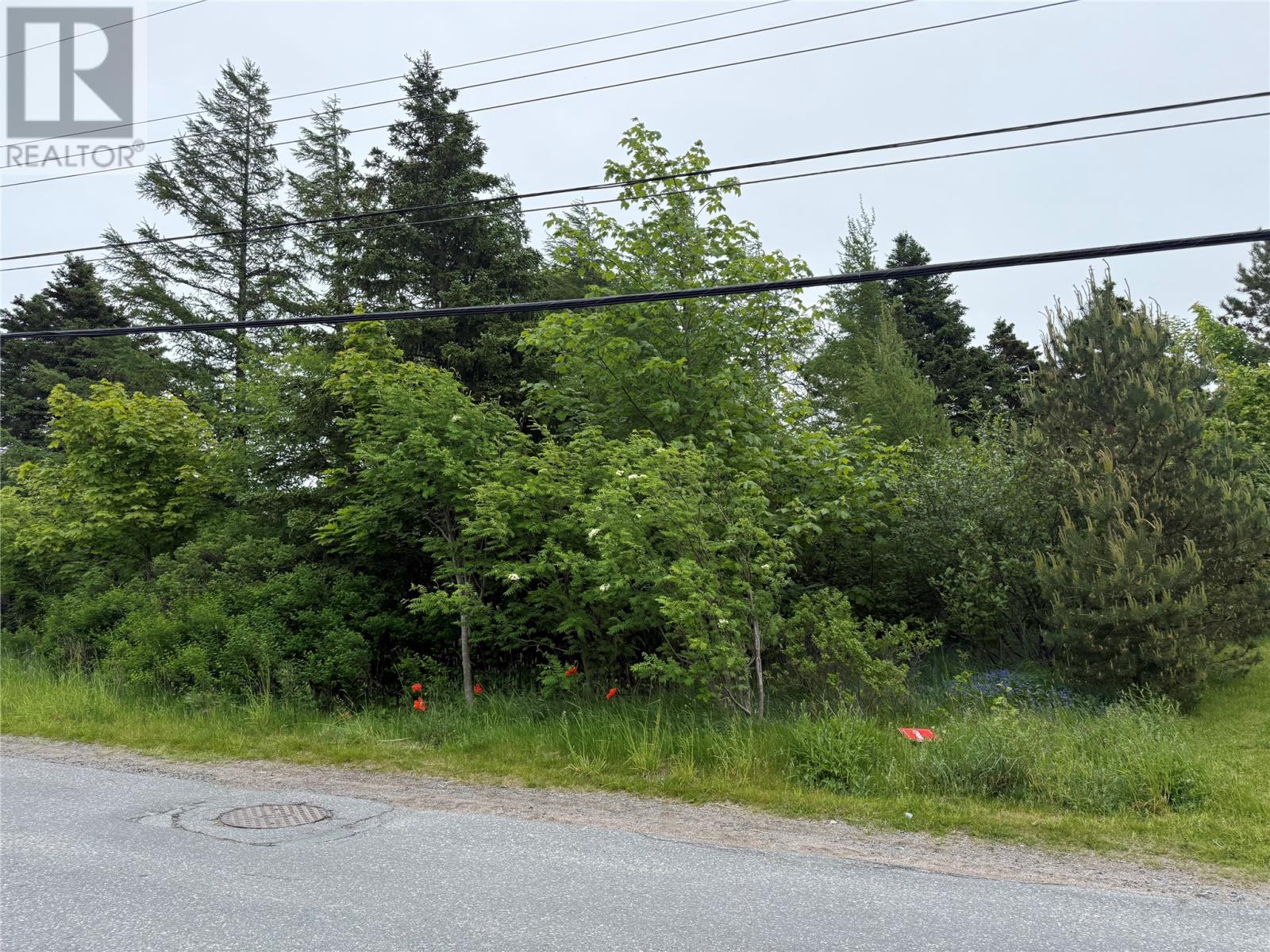 49 Back Road, Upper Island Cove, Newfoundland & Labrador  A0A 4E0 - Photo 1 - 1293421