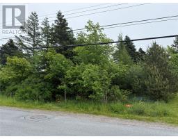 49 Back Road, Upper Island Cove, Newfoundland & Labrador