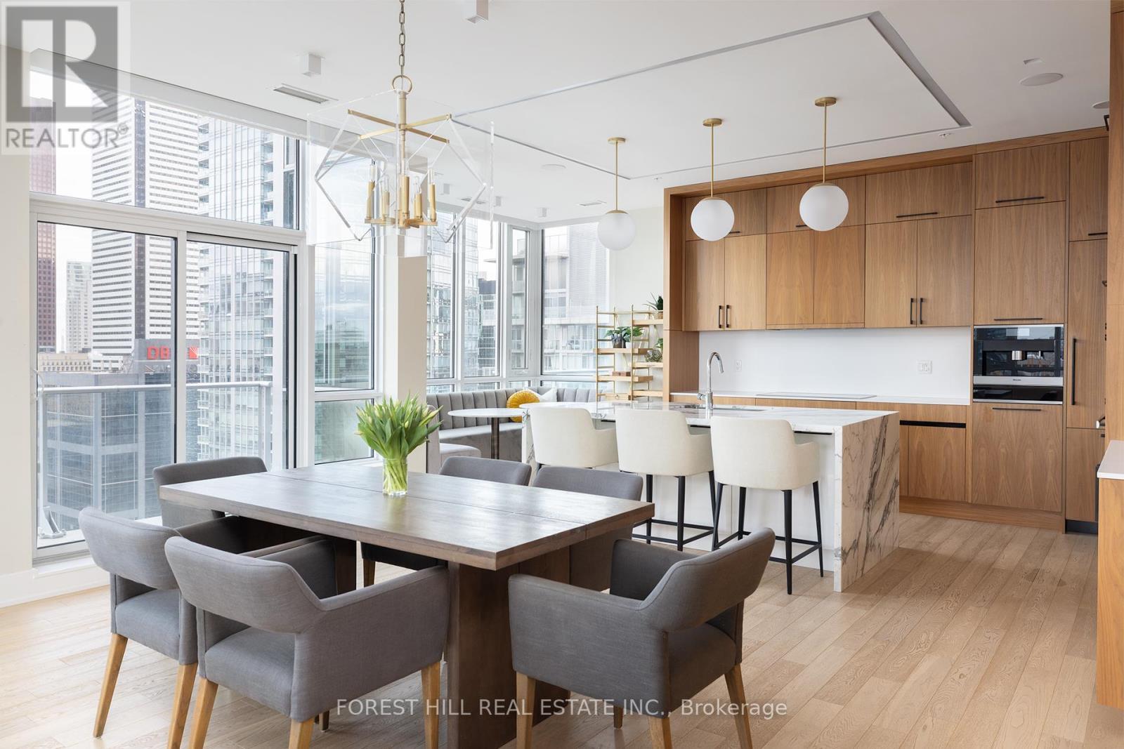 Ph102 - 199 Richmond Street W, Toronto, Ontario  M5V 0H4 - Photo 2 - C12662778