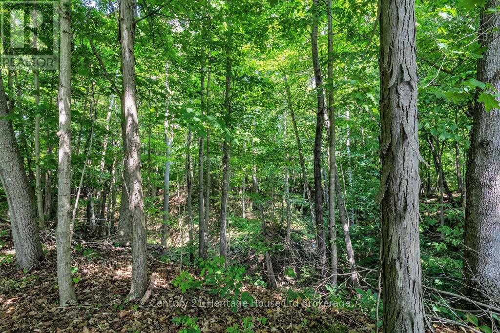 686 Goshen Road, Norfolk, Ontario  N4G 3C9 - Photo 44 - X12662996