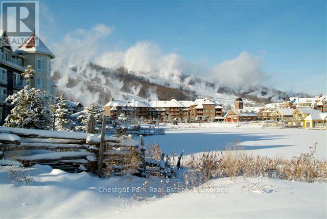 157 - 220 Gord Canning Drive, Blue Mountains, Ontario L9Y 0N8 - Photo 19 - X12661042