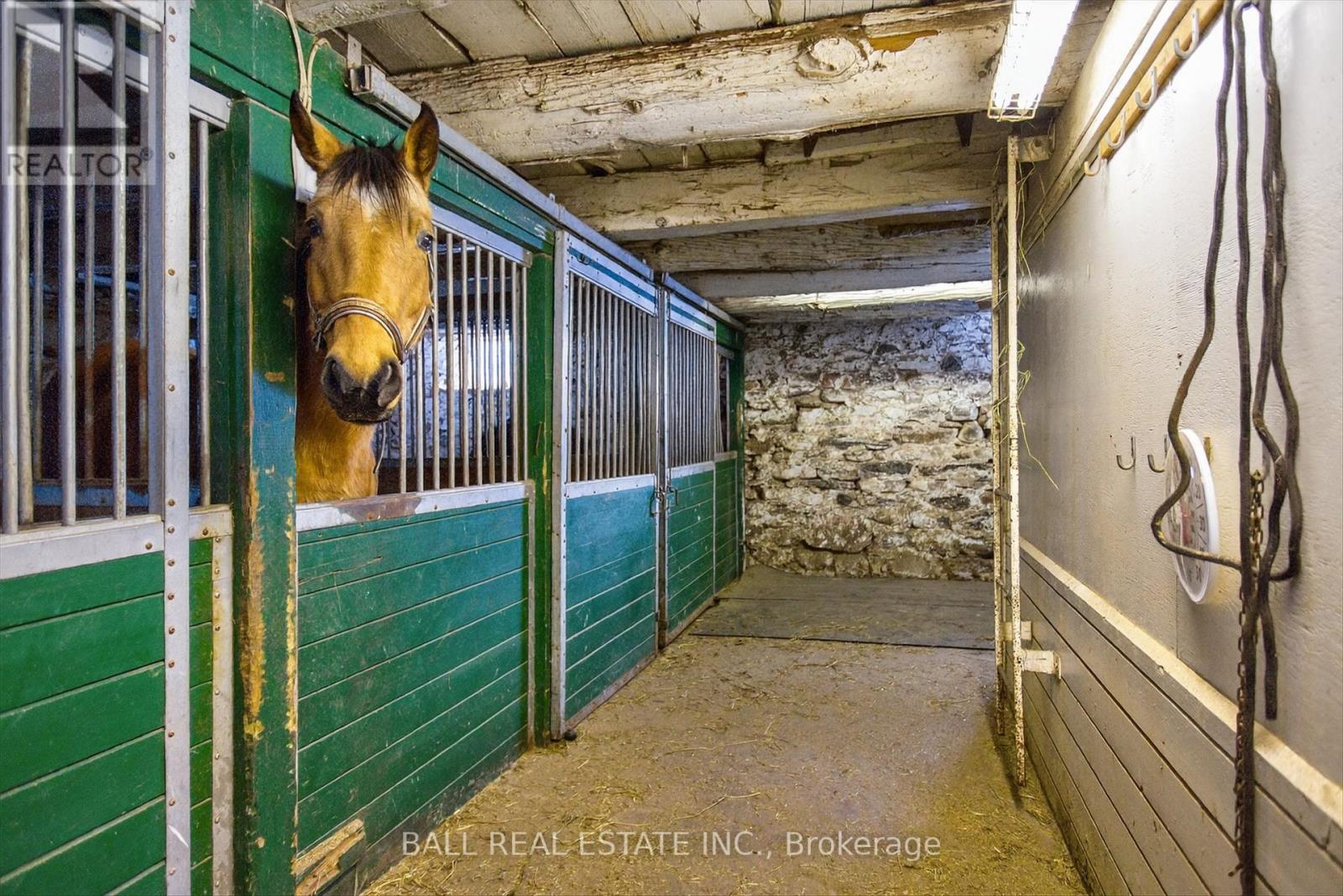 1132 Tara Road, Selwyn, Ontario  K9J 6X2 - Photo 29 - X12662256