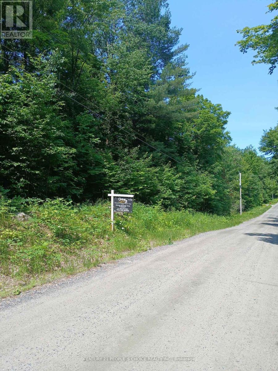 1055 Porkys Road, Minden Hills, Ontario  K0M 2K0 - Photo 3 - X12662920