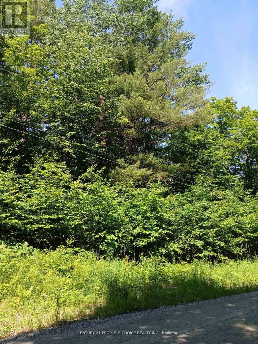 1055 Porkys Road, Minden Hills, Ontario  K0M 2K0 - Photo 6 - X12662920