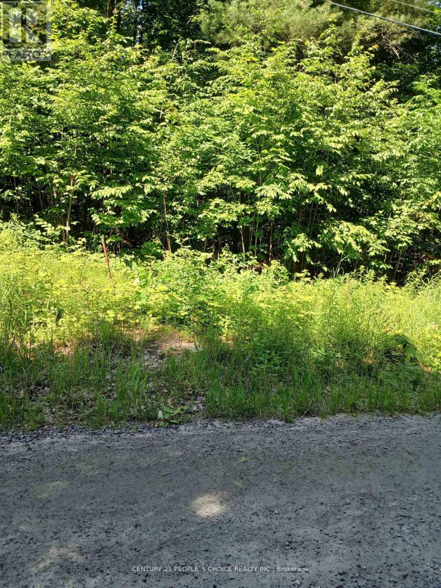 1055 Porkys Road, Minden Hills, Ontario  K0M 2K0 - Photo 7 - X12662920