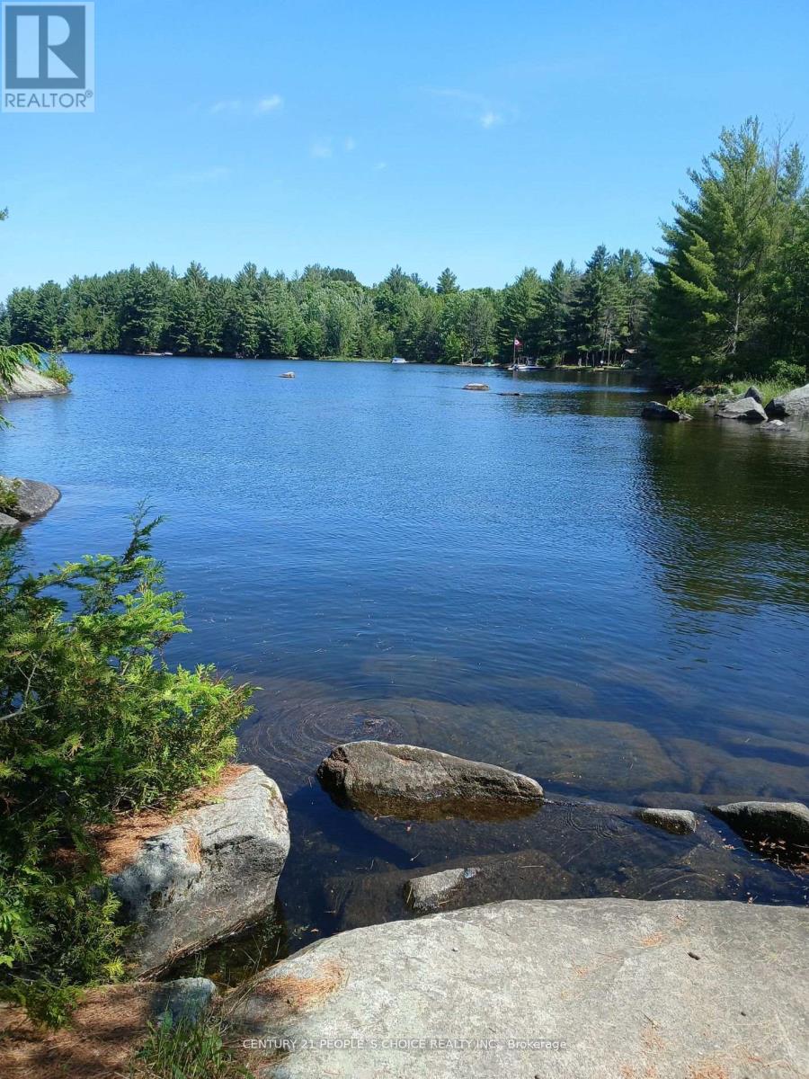 1055 Porkys Road, Minden Hills, Ontario  K0M 2K0 - Photo 9 - X12662920