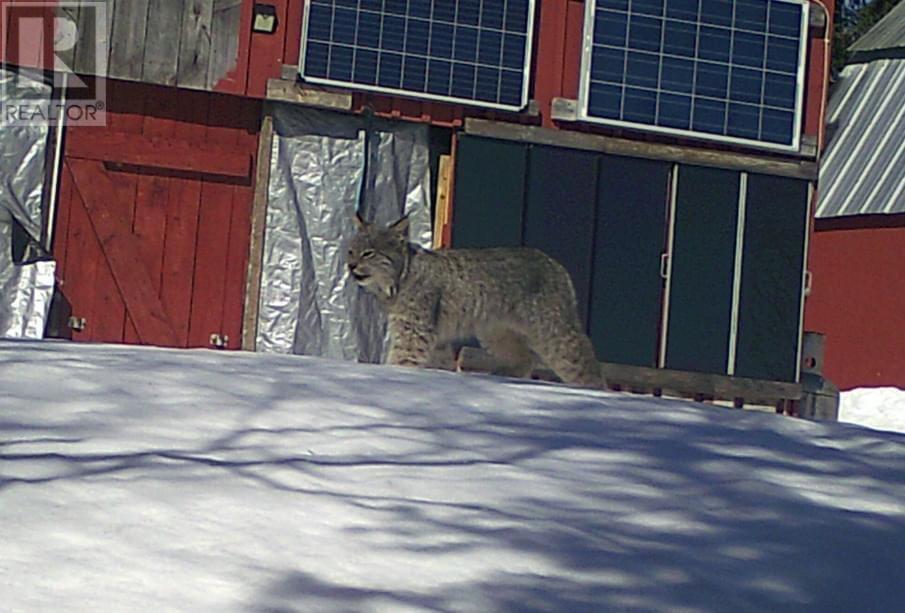 Miron Lease Spruce Lake, Batchewana, Ontario  P0S 1A0 - Photo 15 - SM253508