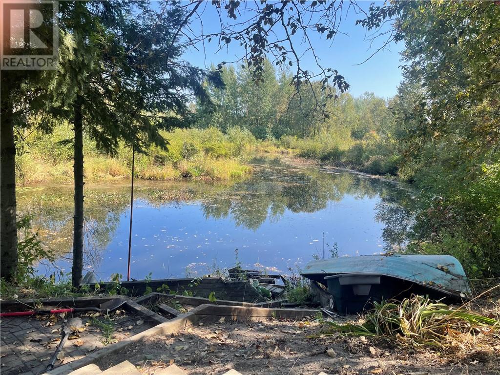 212 Albert Street, Azilda, Ontario  P0M 1B0 - Photo 10 - 2125978