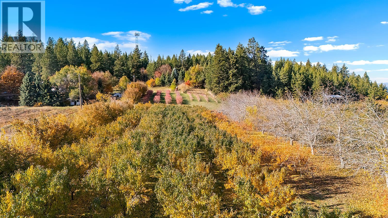 911 32nd Avenue S, Erickson, British Columbia