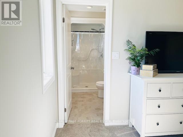 244 Wilson Avenue, Tillsonburg, Ontario  N4G 0H4 - Photo 22 - X12661674