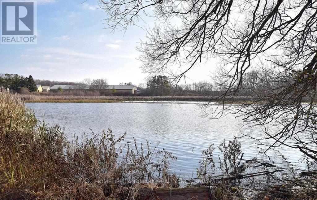 110 Front Street E, Whitby, Ontario  L1N 1A1 - Photo 19 - E12663158