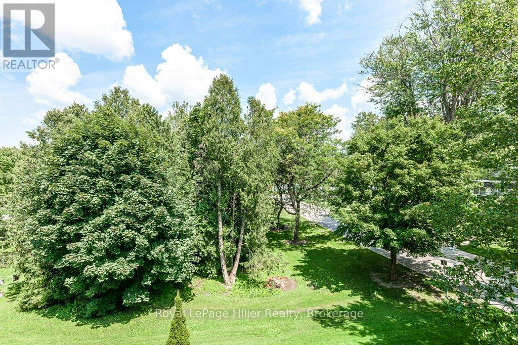 205 - 30 Front Street, Stratford, Ontario  N5A 7S3 - Photo 46 - X12663402