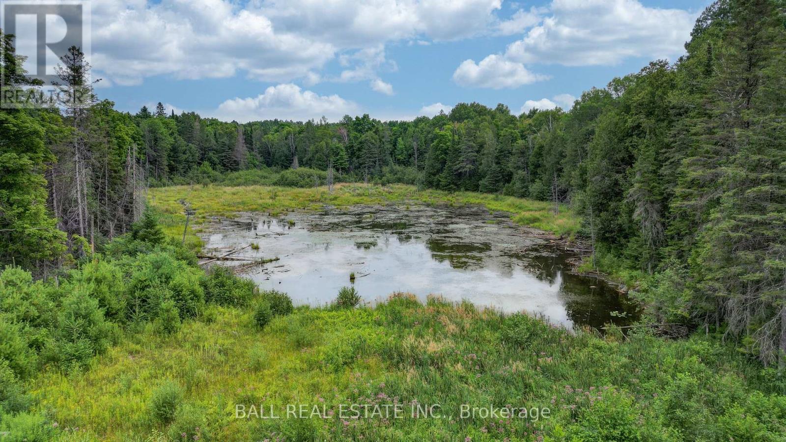 1156 St Ola Road, Limerick, Ontario  K0L 1W0 - Photo 29 - X12325631