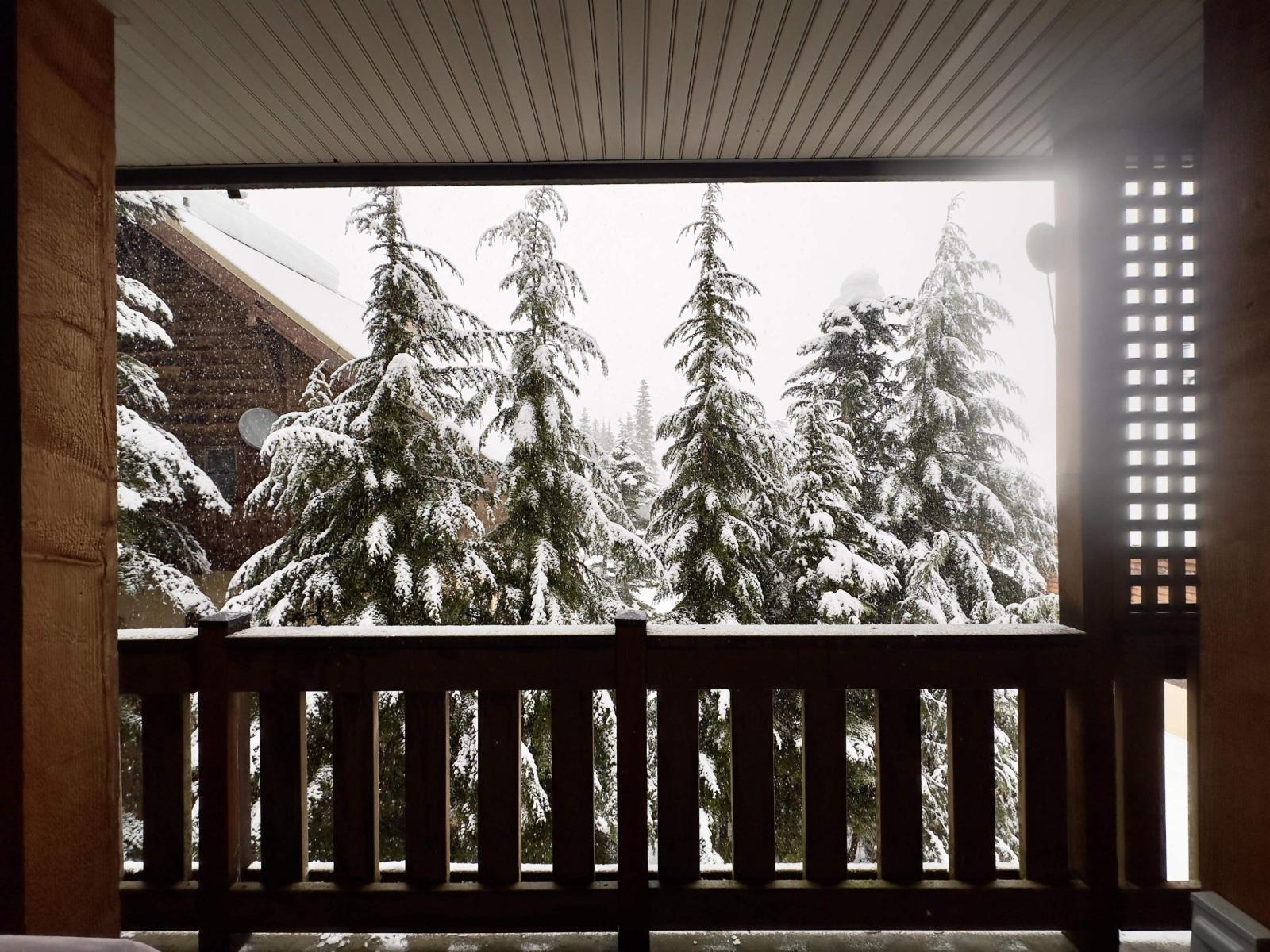 2 20921 Snowflake Crescent, Mission, British Columbia  V0M 1A1 - Photo 19 - R3075273