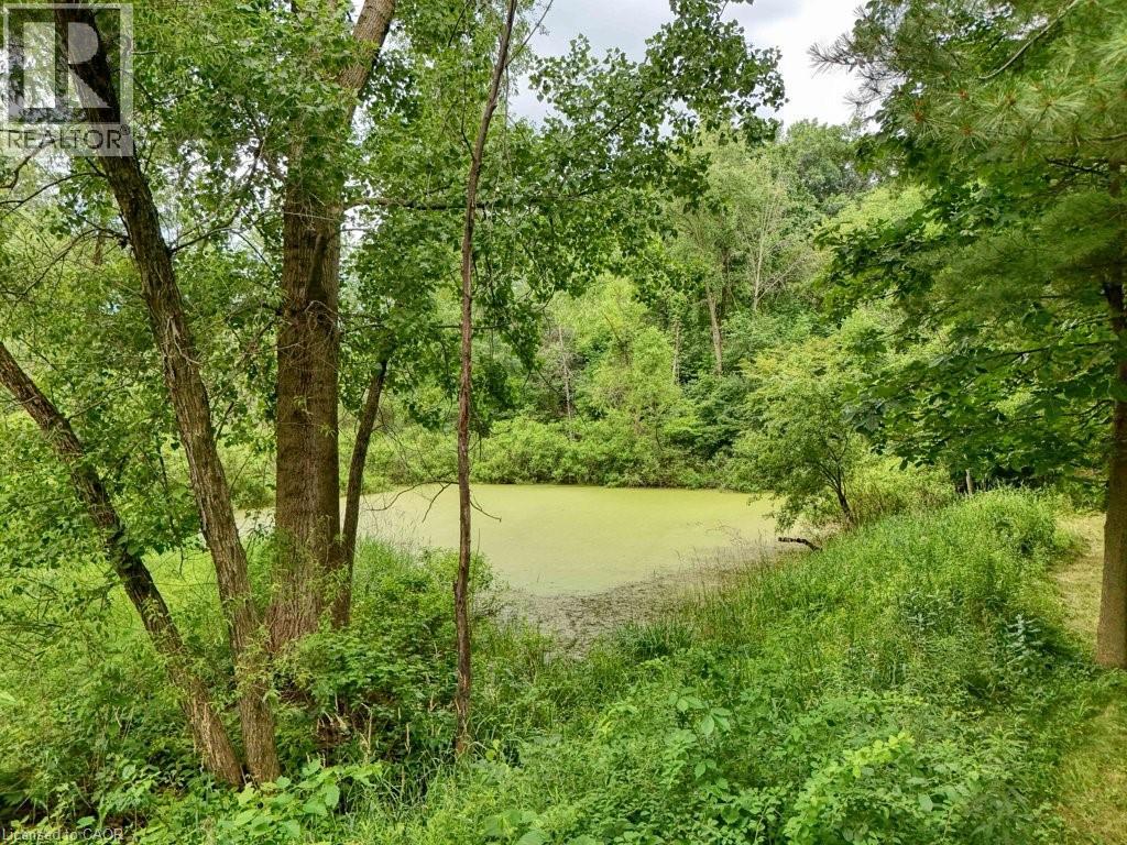 5 Columbo Court, St. George, Ontario  N0E 1N0 - Photo 39 - 40719847