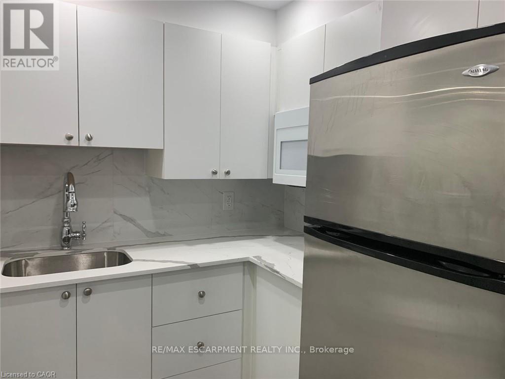 Basement - 1005 Farmstead Drive, Milton, Ontario  L9T 8G2 - Photo 4 - W12663358