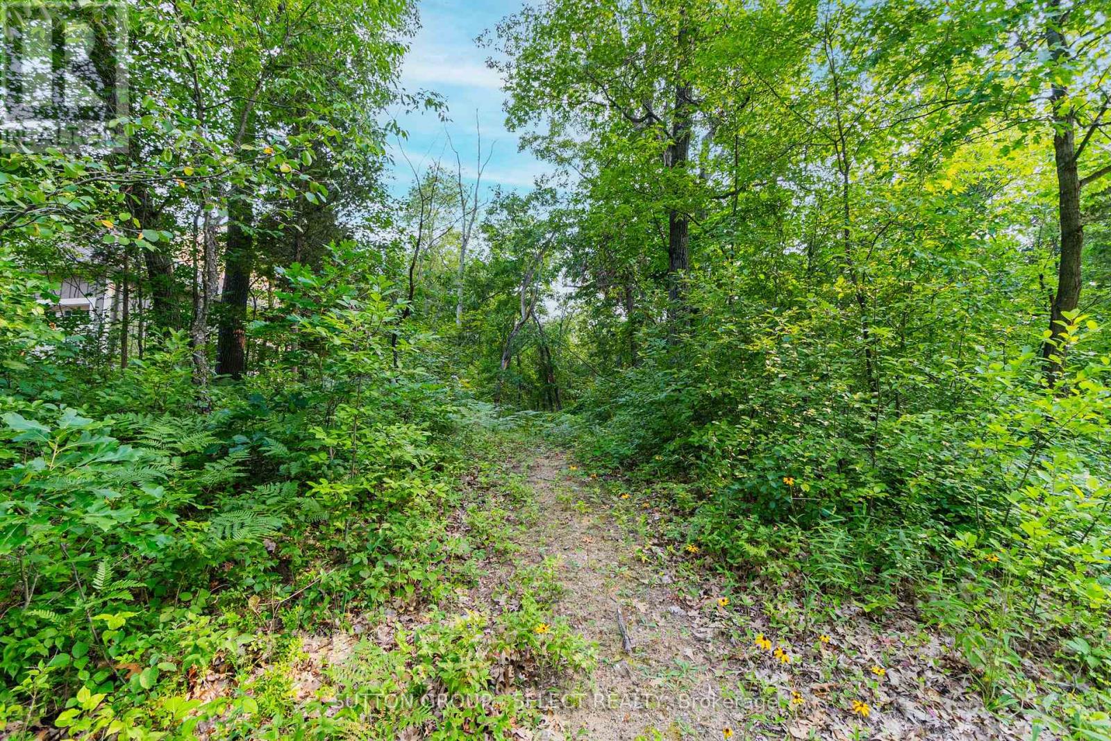 10142 Pinery Bluffs Road, Lambton Shores, Ontario  N0M 1T0 - Photo 21 - X12663520