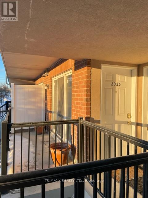 2025 - 3031 Finch Avenue W, Toronto, Ontario  M9M 0A3 - Photo 2 - W12663672