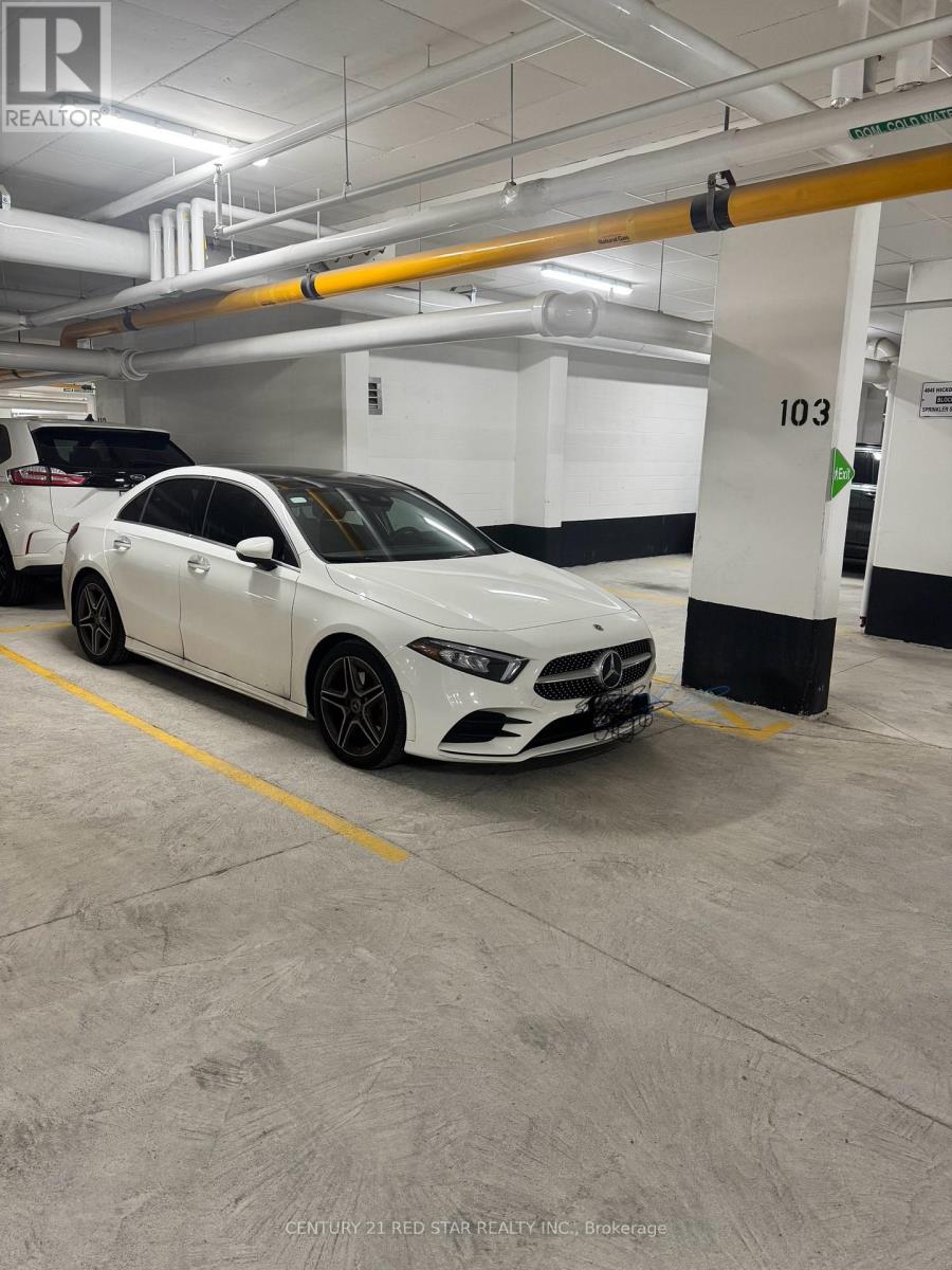 11 - 4017 Hickory Drive, Mississauga, Ontario  L4W 1L1 - Photo 19 - W12663746