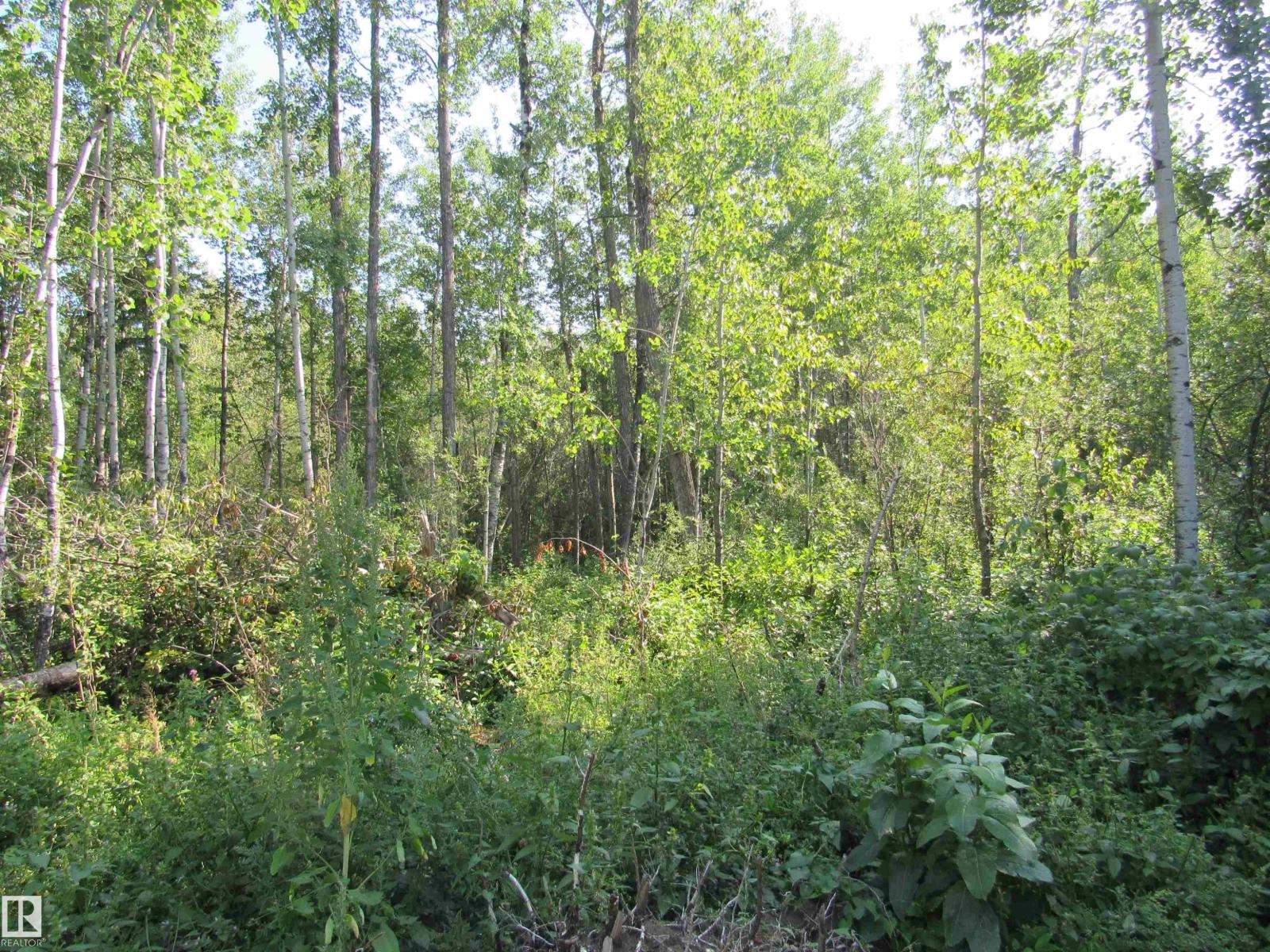 59316 Rge Rd 54 - Lot 61, Rural Barrhead County, Alberta  T7N 1N4 - Photo 10 - E4451444