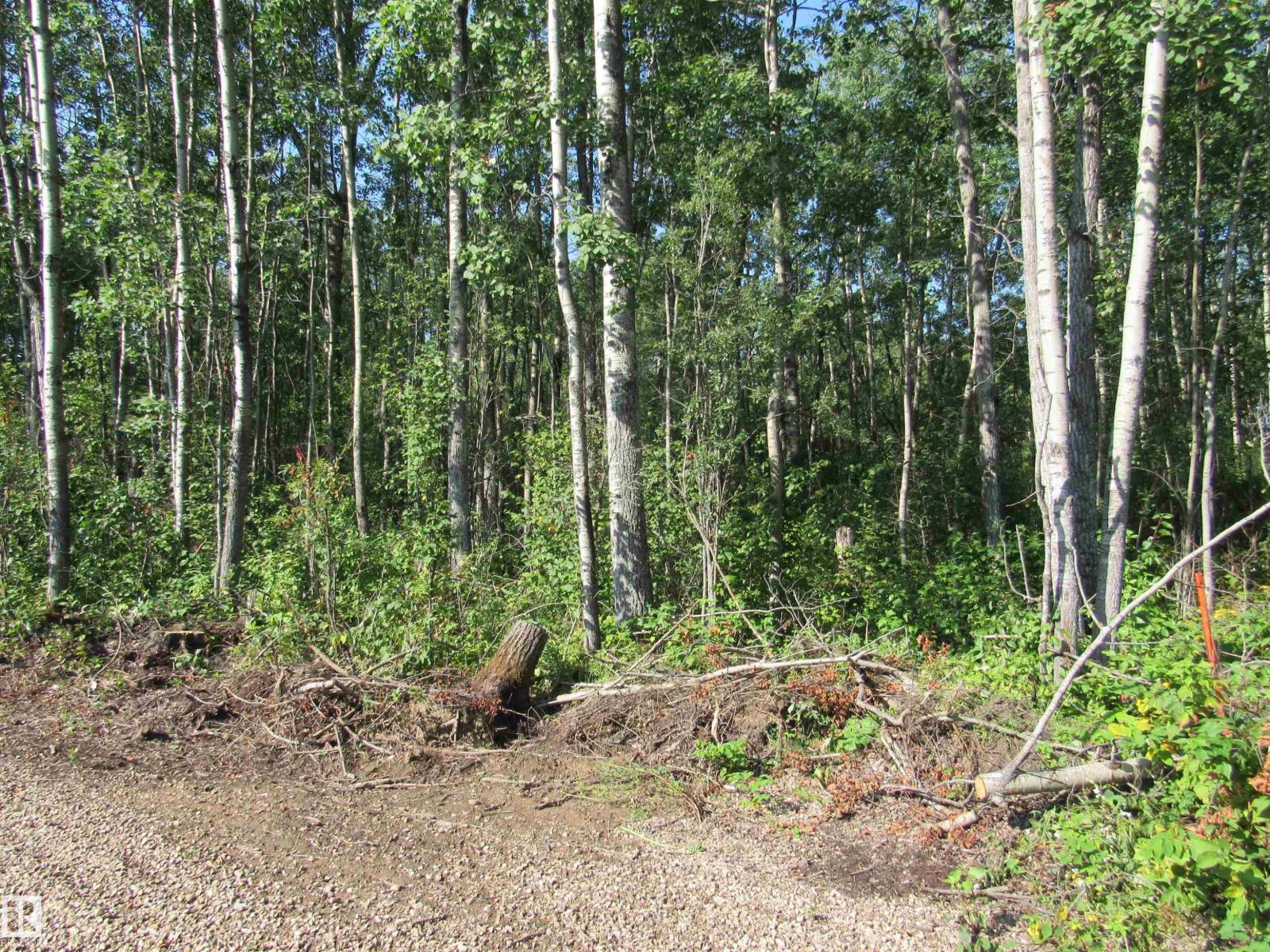 59316 Rge Rd 54 - Lot 61, Rural Barrhead County, Alberta  T7N 1N4 - Photo 12 - E4451444