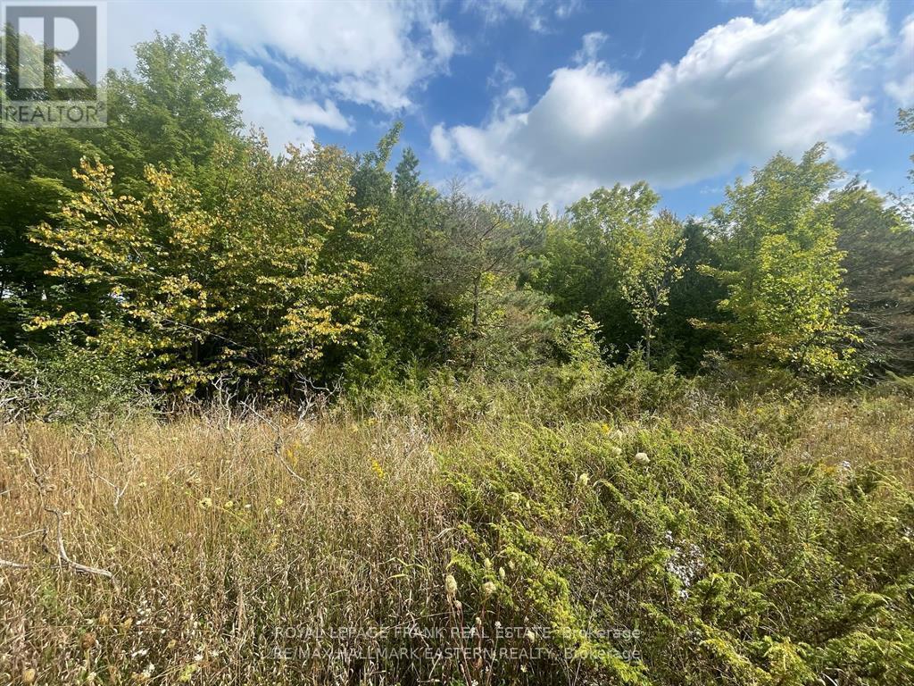 00 Adams-Cummings Road, Trent Lakes, Ontario  K0L 2J0 - Photo 10 - X12663848