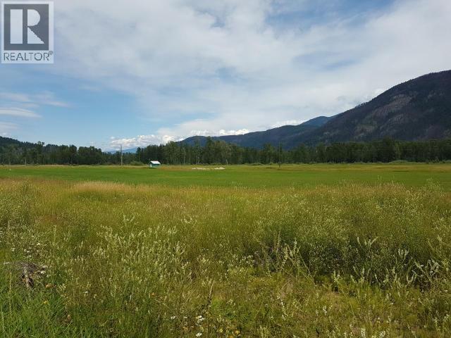 3558 Roundtop Road, Clearwater, British Columbia  V0E 1N2 - Photo 4 - 10342747