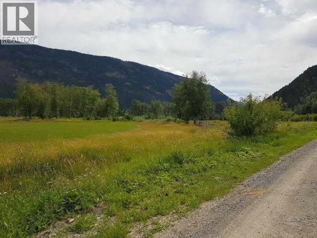 3558 Roundtop Road, Clearwater, British Columbia  V0E 1N2 - Photo 3 - 10342747