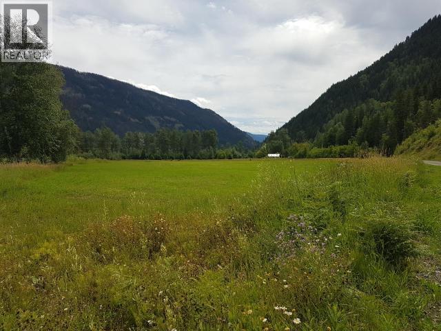 3558 Roundtop Road, Clearwater, British Columbia  V0E 1N2 - Photo 1 - 10342747