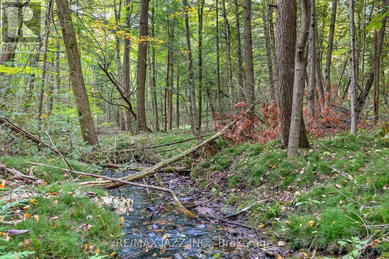 9500 Grasshopper Park Road, Clarington, Ontario  L1C 7C8 - Photo 47 - E12528182