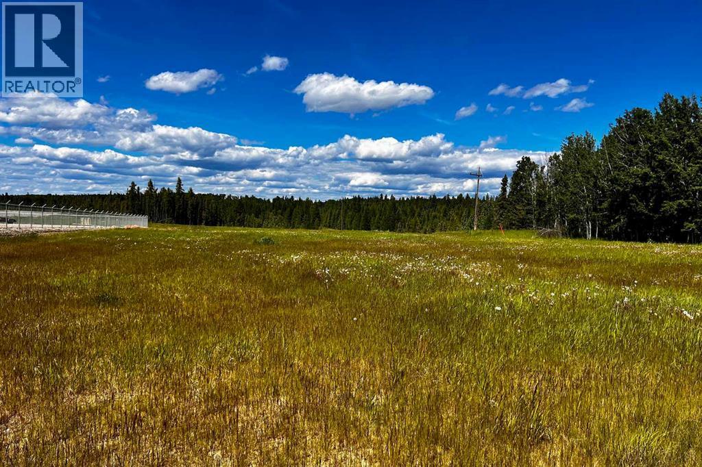 4208 52a Avenue, Rocky Mountain House, Alberta  T4T 1B4 - Photo 2 - A2126991