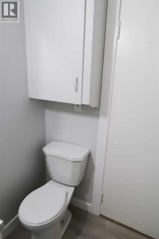 111 2 Avenue S, Morrin, Alberta  T0J 2B0 - Photo 8 - A2271518