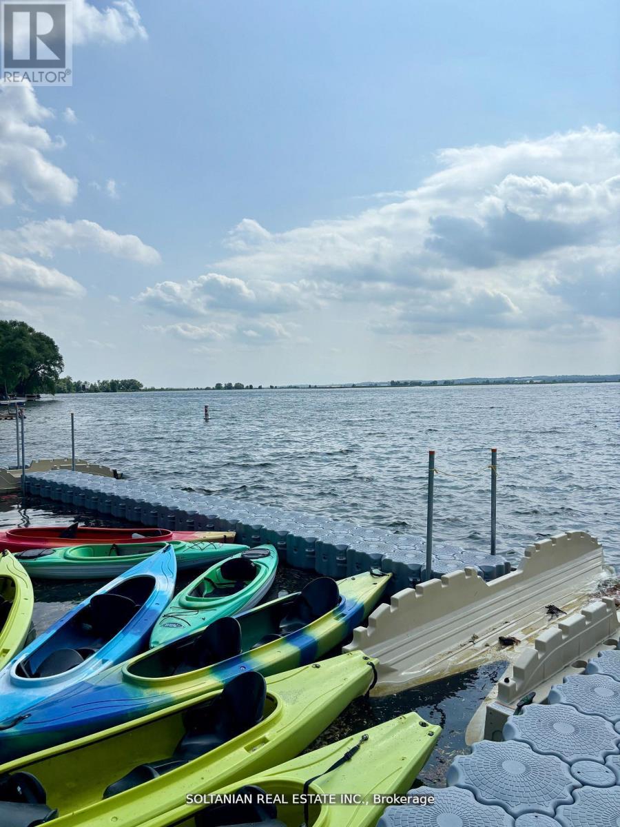 335 Miami Drive, Georgina, Ontario  L4P 2Z6 - Photo 30 - N12664116