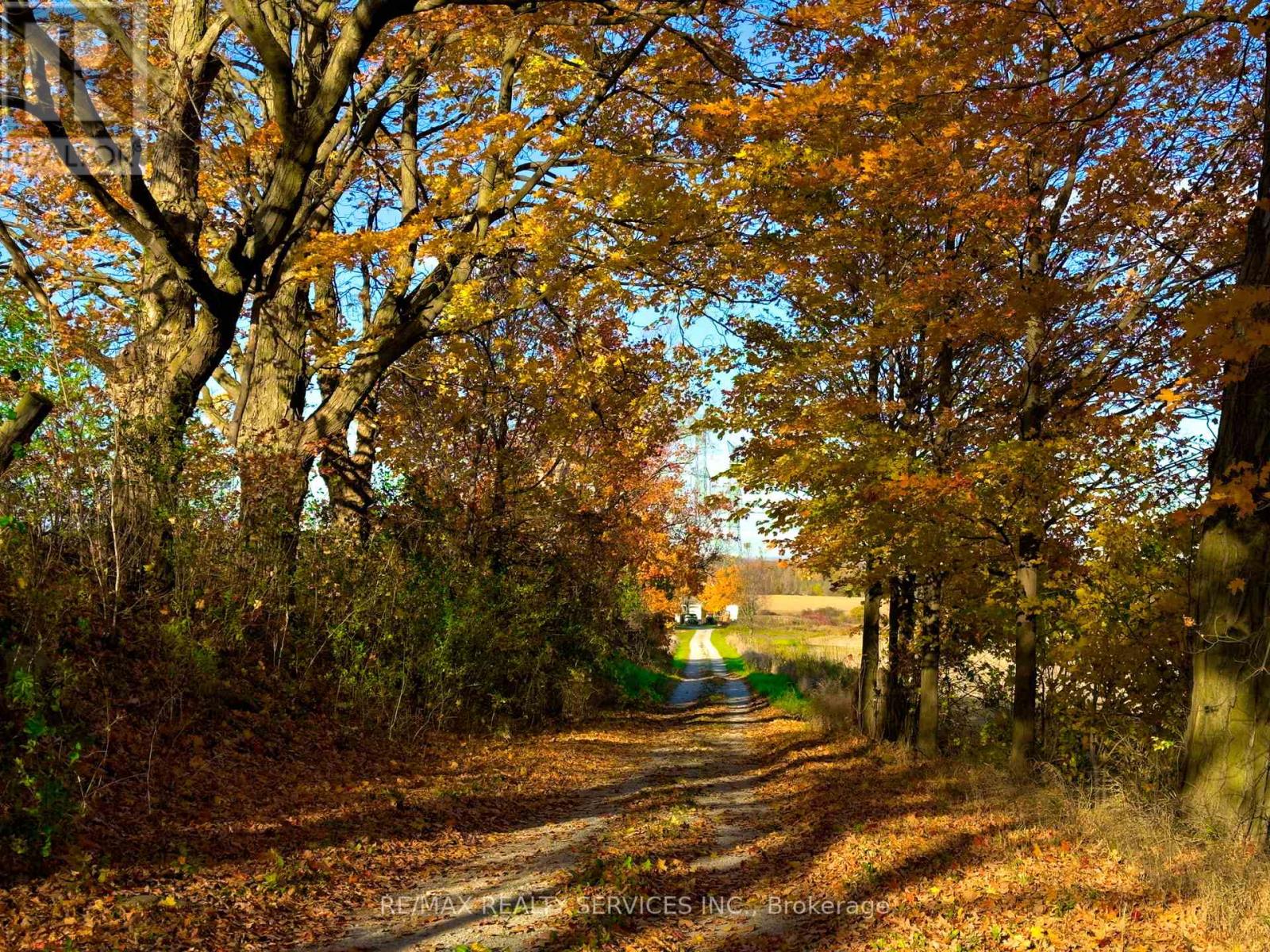 11889 Fourth Line, Halton Hills, Ontario  L7J 2M1 - Photo 6 - W12664172