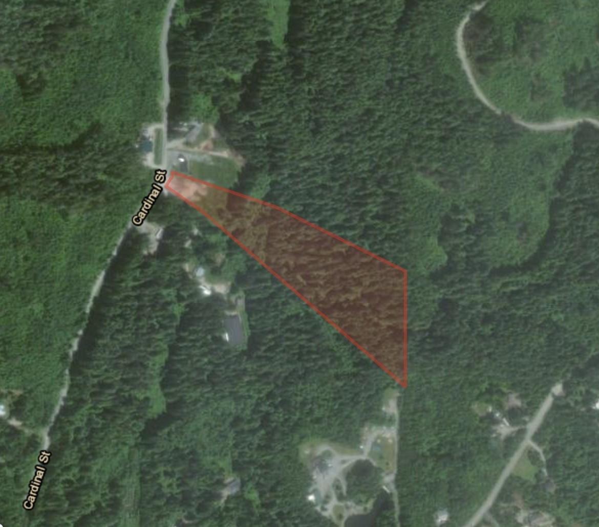 12767 Cardinal Street, Mission, British Columbia  V4S 1L3 - Photo 2 - R3076164