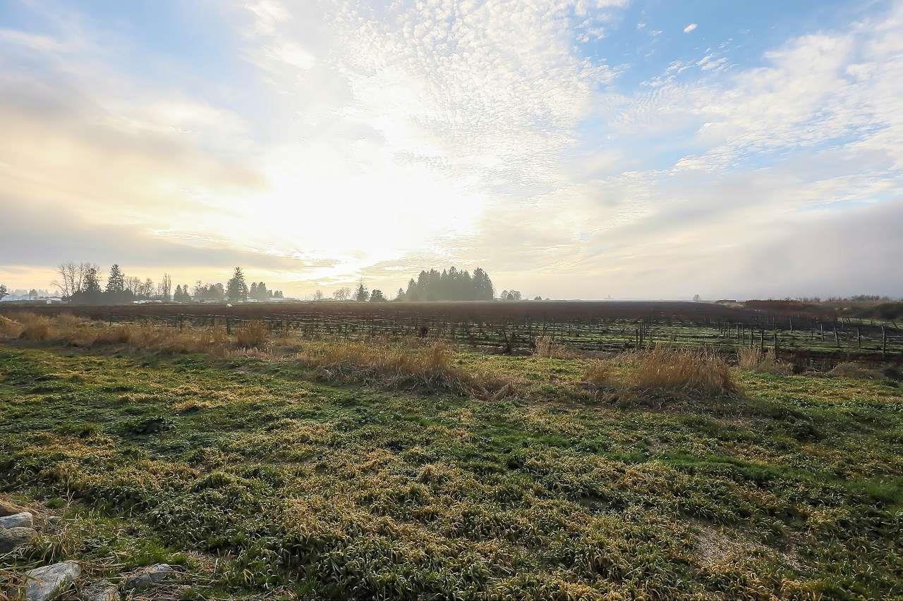 8415 184 Street, Surrey, British Columbia V4N 6G4 - Photo 38 - R3075069