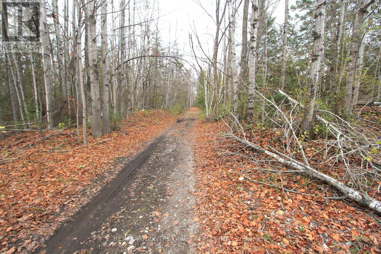 Lt3 Ramblewood Trail, Kawartha Lakes, Ontario  K0M 2B0 - Photo 17 - X12526488