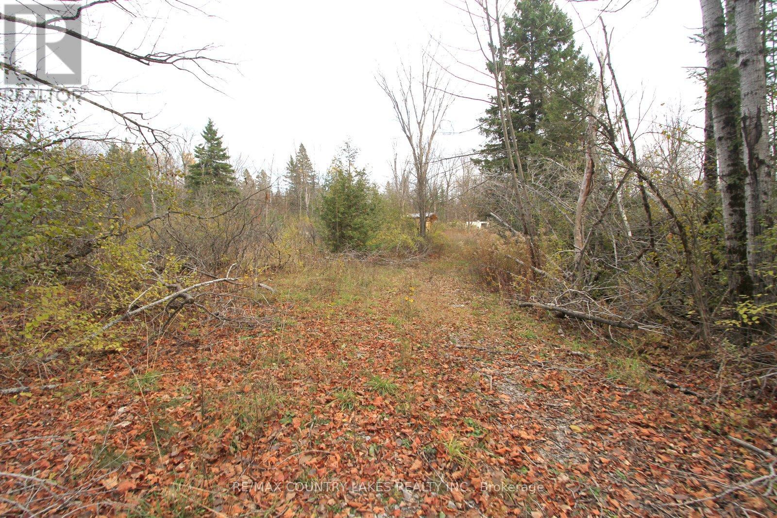Lt3 Ramblewood Trail, Kawartha Lakes, Ontario  K0M 2B0 - Photo 18 - X12526488