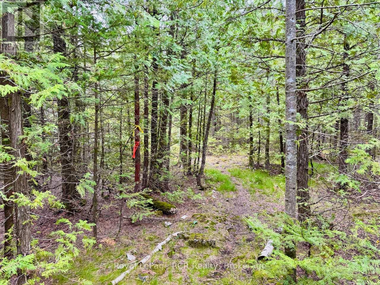 104 Little Pine Drive, Northern Bruce Peninsula, Ontario  N0H 1W0 - Photo 14 - X12664618