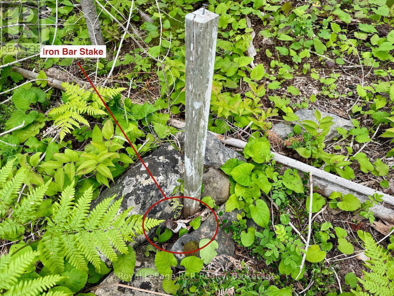 104 Little Pine Drive, Northern Bruce Peninsula, Ontario  N0H 1W0 - Photo 16 - X12664618