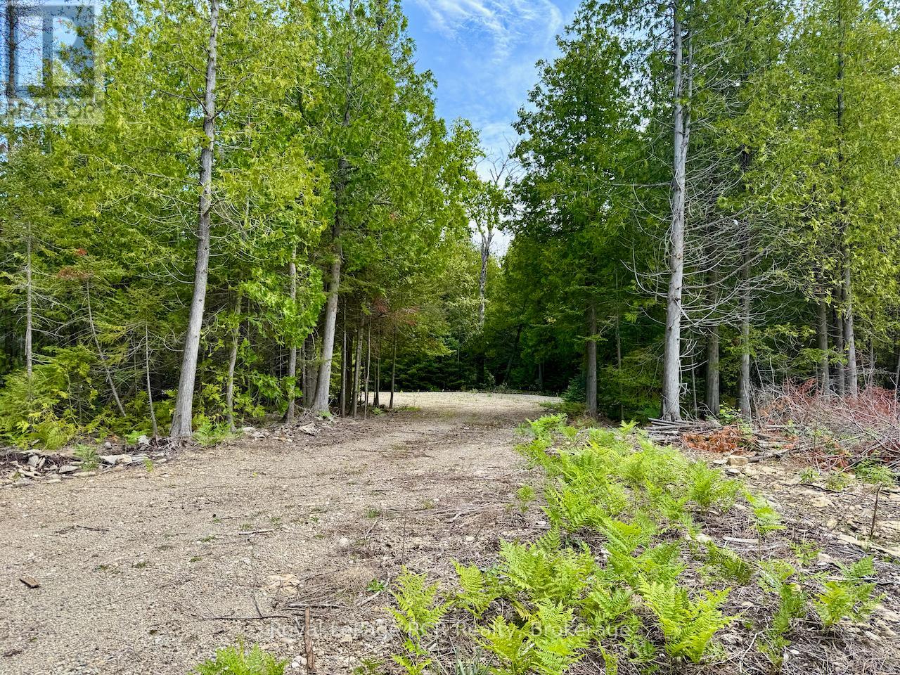 104 Little Pine Drive, Northern Bruce Peninsula, Ontario  N0H 1W0 - Photo 20 - X12664618