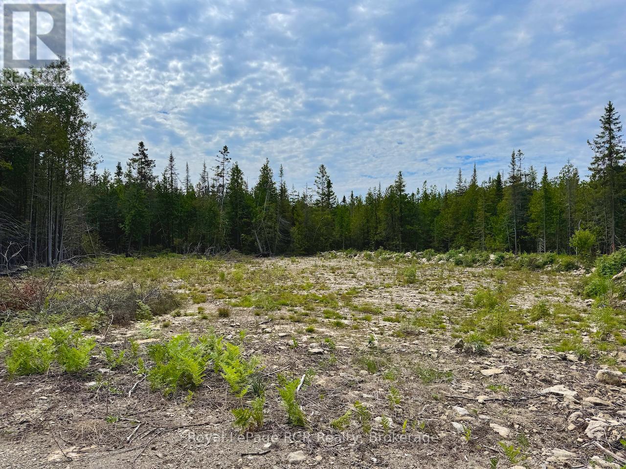 104 Little Pine Drive, Northern Bruce Peninsula, Ontario  N0H 1W0 - Photo 21 - X12664618