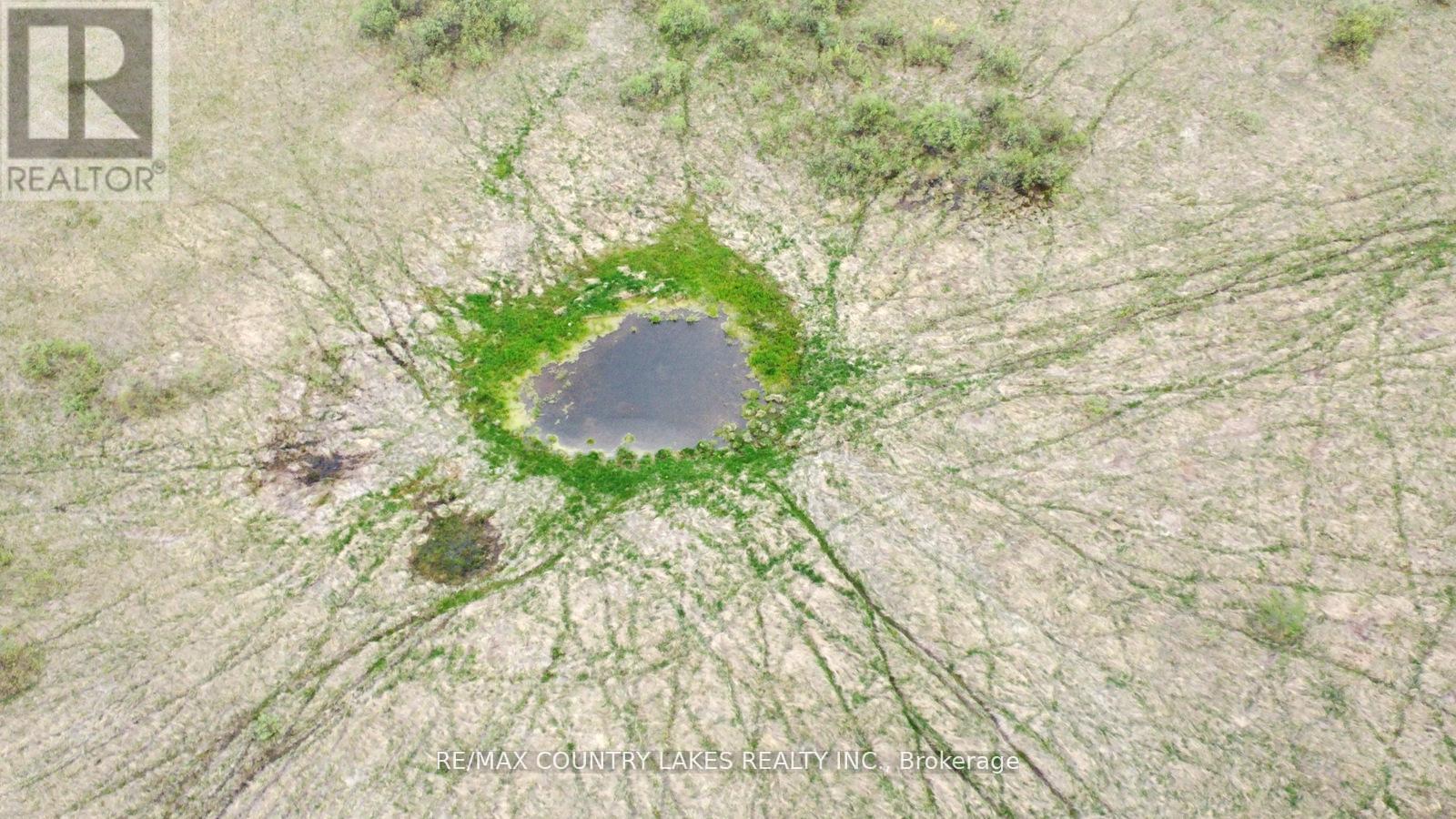 Lt 10 Glenarm Road, Kawartha Lakes, Ontario  K0M 2T0 - Photo 16 - X12662292