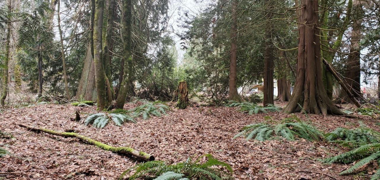 410 224 Street, Langley, British Columbia  V2Z 2W5 - Photo 9 - R3039298